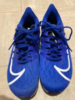 NIKE ランニングシューズのサムネイル