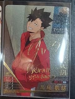 m80190273212_1.jpg?1761397562