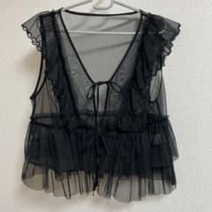 チュールベストのサムネイル