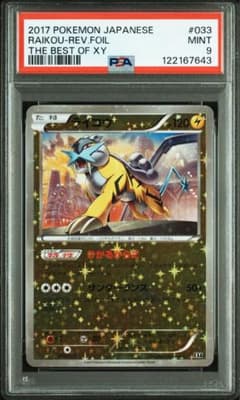 ライコウ THE BEST XY ミラー PSA9 ライコウ THE BEST XY ミラー PSA9 - メルカリ