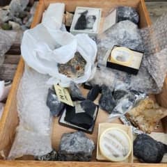 岩石標本と化石のコレクションのサムネイル