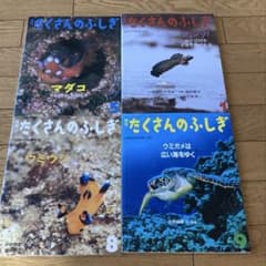 たくさんのふしぎ 4冊セット 海の生き物 - メルカリ