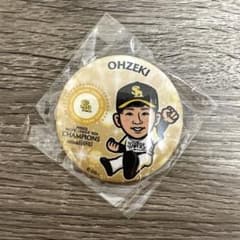 【1つ100円〜】ソフトバンクホークス 缶バッジ 福岡ソフトバンクホークス 若鷹ガチャ パ・リーグ優勝ver.缶バッジ