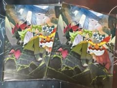 포켓몬 카드 게임 N 카드 파일 파일만 2개 세트