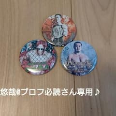 ドラゴンゲート 缶バッジ♪のサムネイル