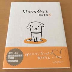 ☆いつでも会える 菊田まりこ☆絵本のサムネイル