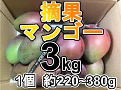 摘果マンゴー 約3kg - メルカリ