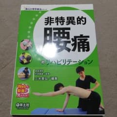 非特異的腰痛のリハビリテーションのサムネイル