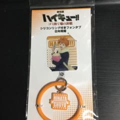 극장판 하이큐!! 쓰레기 버려진 장소의 결전 폰 탭 히나타 쇼요