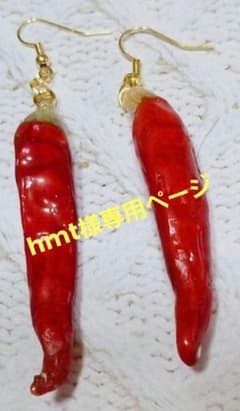 hmt様専用ページのサムネイル
