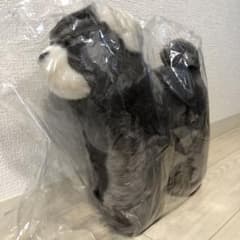 m80229754149_1.jpg?1714371180