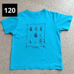 mont-bell 昆虫プリント Tシャツ 120のサムネイル