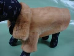 小型犬　毛皮　コート　ウィゼル　ナチュラルカラー　襟付き　袖付き　4号サイズBのサムネイル
