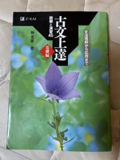 ⭐️K様専用⭐️古文上達のサムネイル