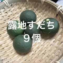 露地すだち9個のサムネイル
