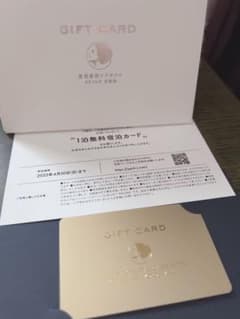 にゃんちゅーさん専用　京都　ぶどうの木　ホテル　一泊　無料宿泊券のサムネイル