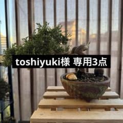 toshiyuki様 専用3点のサムネイル