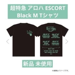 【pu様専売】超特急 アロハ ESCORT Tシャツ Black Mサイズのサムネイル
