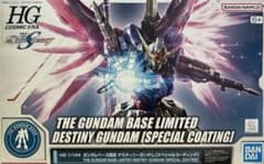 HG ガンダムベース限定 デスティニーガンダム [スペシャルコーティング