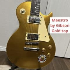 Maestro by Gibson Gold top マエストロ バイ ギブソンのサムネイル