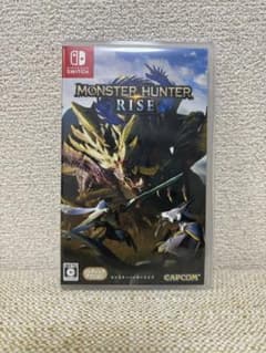 MONSTER HUNTER RISEのサムネイル