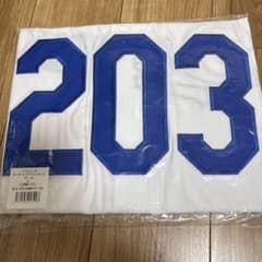 中日ドラゴンズ 背番号203 井上剣也ユニフォーム - メルカリ
