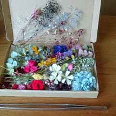 ハーバリウム花材  ドライフラワーのサムネイル