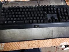 Razerキーボード blackwidow X chromaのサムネイル