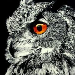 Lowress様専用のサムネイル