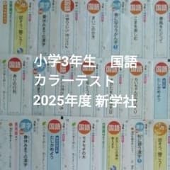 小3　国語　新学社　光村図書　カラーテスト　2025年分　記入済 2025年度 国語 小3 カラーテスト 光村図書 新学社 計20枚 - メルカリ