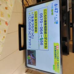TOSHIBA REGZA 24S22 24 인치 LCD TV 본체