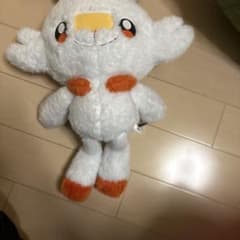 ヒバニーのサムネイル