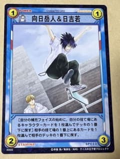 テニスの王子様 テニプリ トレーディングカード TCG 氷帝 向日岳人