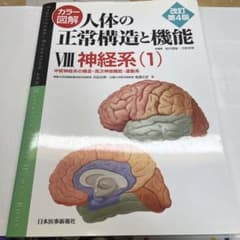 人体の正常構造と機能 Ⅷ 神経系(1)のサムネイル
