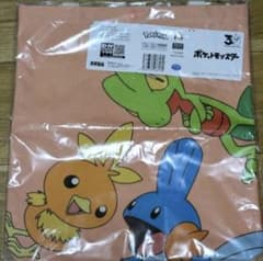 【新品未使用】ポケモン30周年プラチナムザッカ トートバッグ ～ホウエン地方～