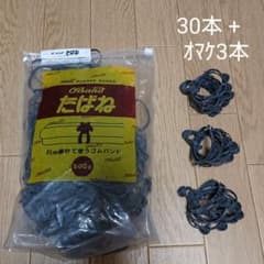 園芸用品 たばね ゴムバンド 30本のサムネイル