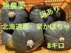 無農薬　北海道産　訳あり栗かぼちゃ 8キロのサムネイル