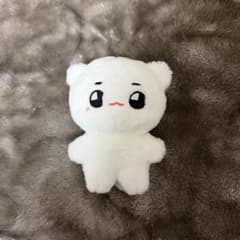 NCT127 テヨン トレカ　グッツ　ぬいぐるみ　まとめ売り NCT テヨン ぬいぐるみ トレカ - メルカリ