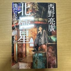 北極星 僕たちはどう働くかのサムネイル