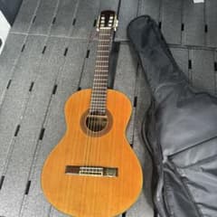 エピフォン アコースティックギター エルヴィス・プレスリーEE-101