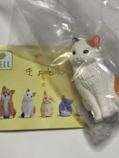 きょとん。　ミケ　ガチャのサムネイル