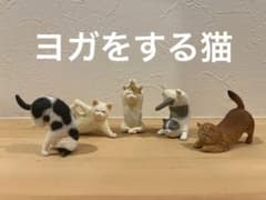 【ヨガ】ヨガをする猫、置き物セットのサムネイル