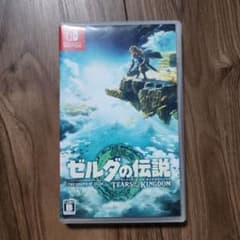 ゼルダの伝説 ティアーズ オブ ザ キングダムのサムネイル