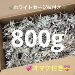 激安お買い得☆800g＜浄化☆邪気祓い☆カリフォルニア産ホワイトセージ