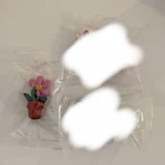 user_684a54aa 様 DAISUKE KONDO 花のサムネイル
