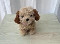 犬のぬいぐるみのサムネイル