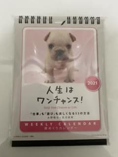 卓上／壁紙　2021年　週めくりカレンダー　犬　未開封のサムネイル