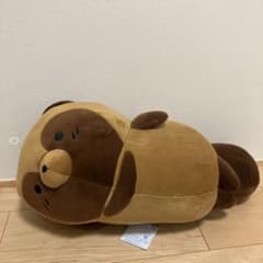 너구리와 여우