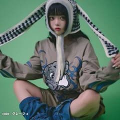 GALFY ガルフィー 部族 ロンT グレージュ　中型犬　Lのサムネイル