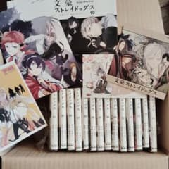 m80321172432_1.jpg?1724206374